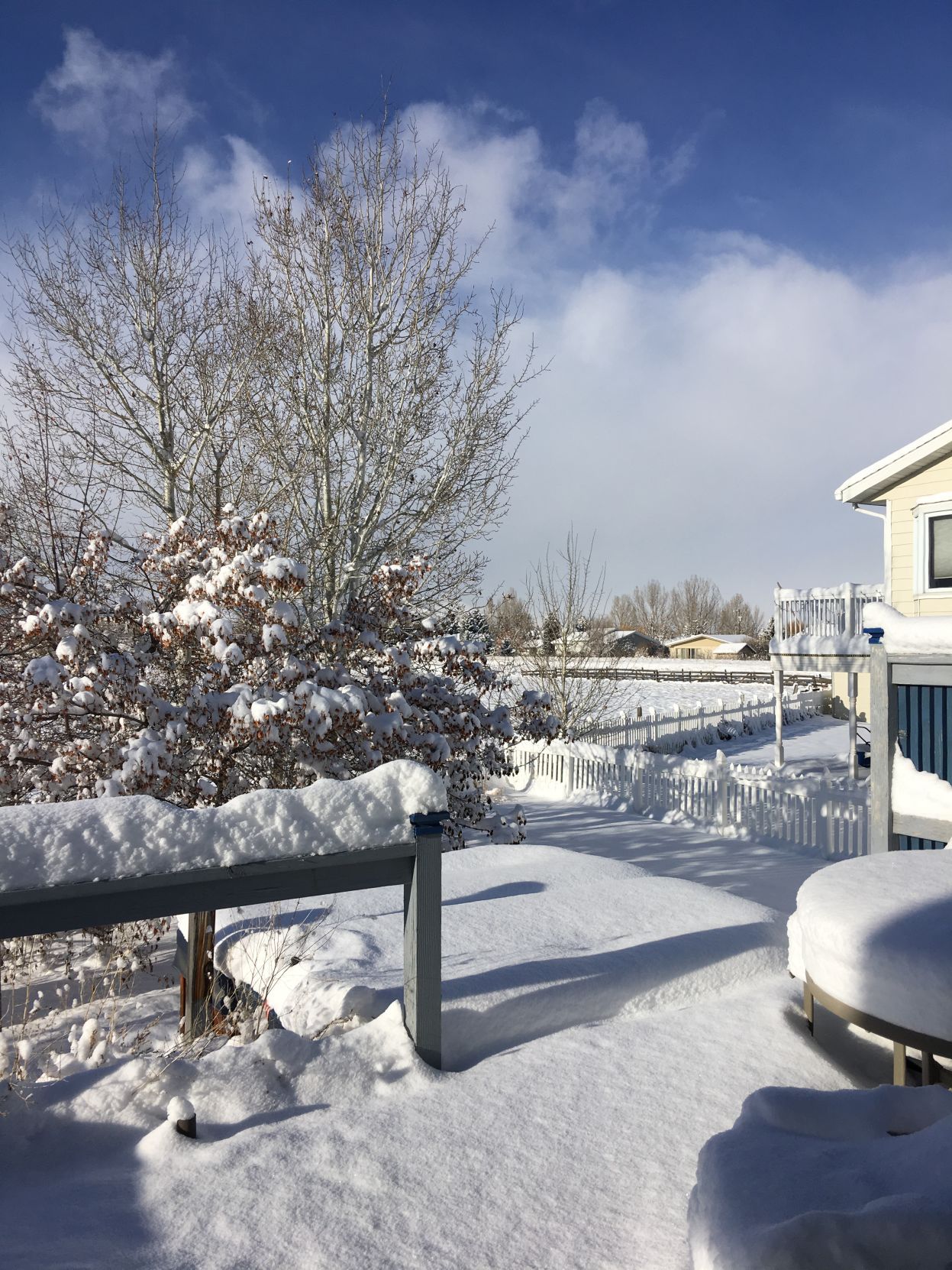Snow in Helena Valley